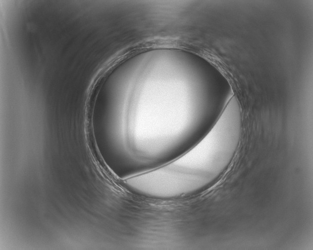 X0000070360293200606090807