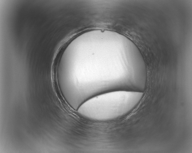 X0000070360294200606090807