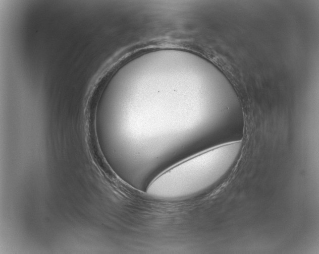 X0000070360295200606090807