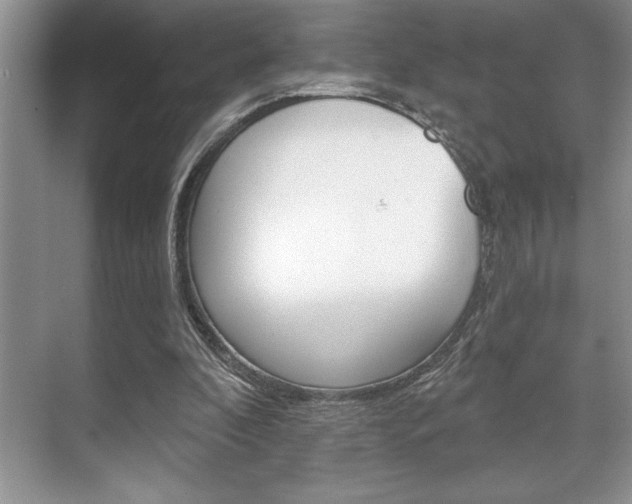 X0000070360296200606090807