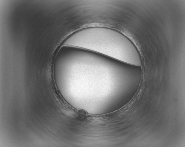 X0000070360297200606090807