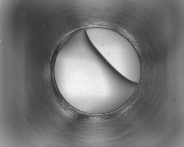 X0000070360298200606090807