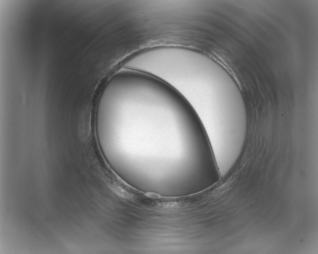 X0000070360301200606090807