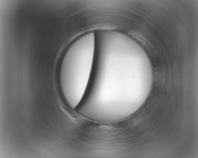 X0000070360302200606090807