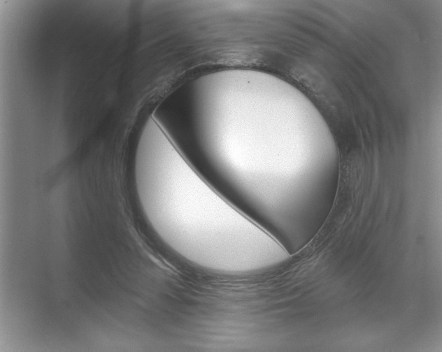 X0000070360303200606090807