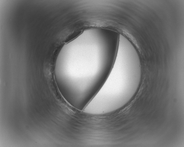 X0000070360305200606090807