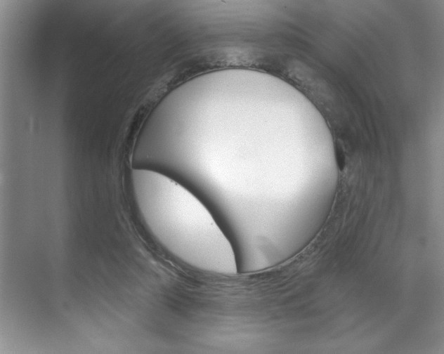 X0000070360306200606090807