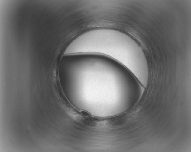 X0000070360309200606090807