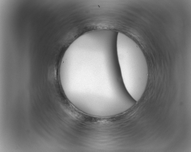 X0000070360310200606090807