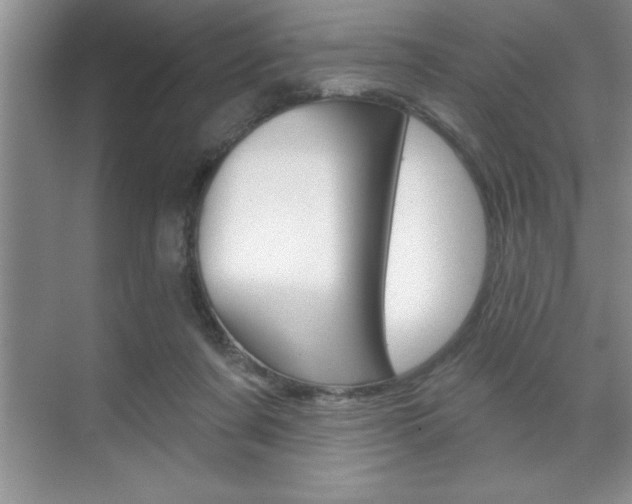 X0000070360311200606090806