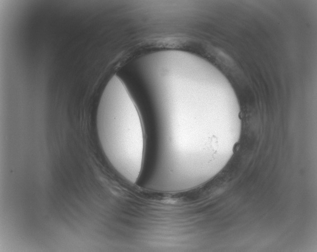 X0000070360312200606090806