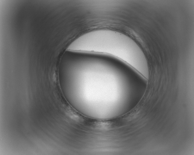 X0000070360313200606090806