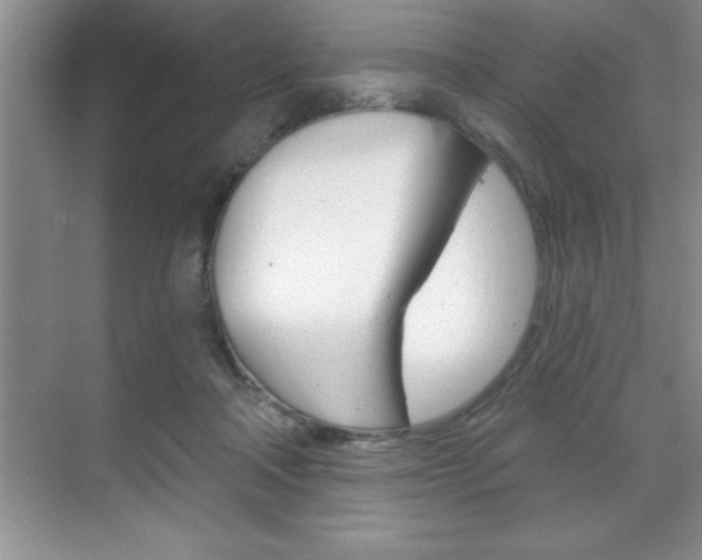 X0000070360314200606090806