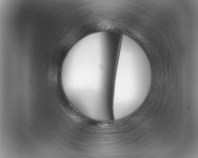 X0000070360315200606090806