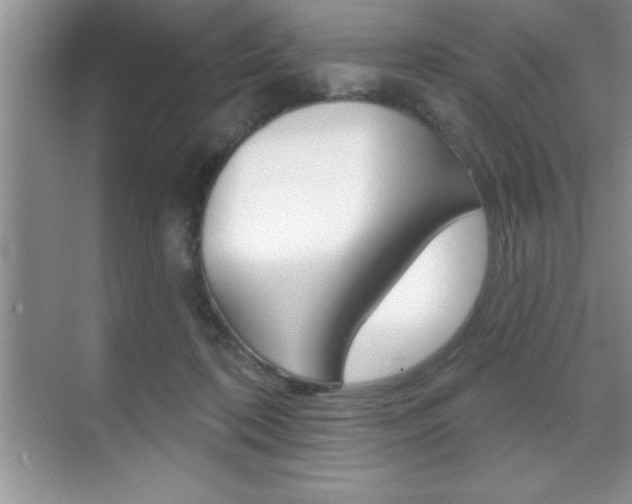 X0000070360316200606090806