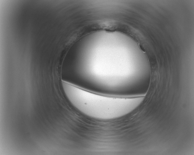 X0000070360317200606090806