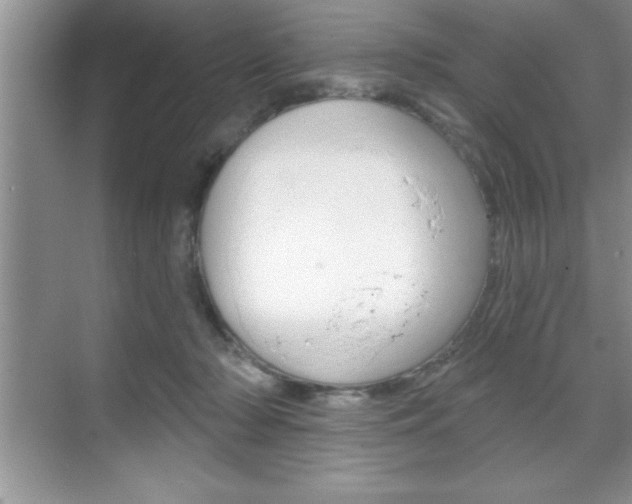 X0000070360318200606090806