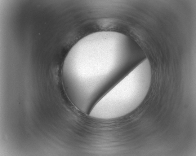 X0000070360319200606090806