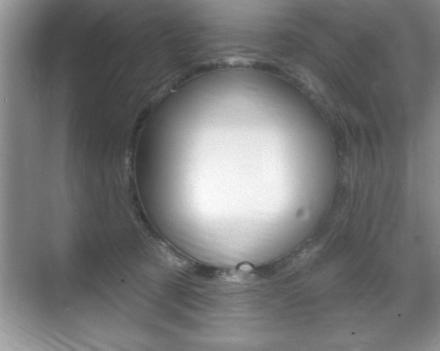 X0000070360321200606090806