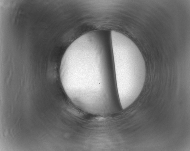 X0000070360323200606090806