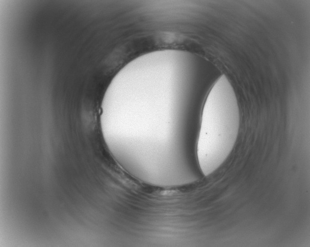 X0000070360324200606090806