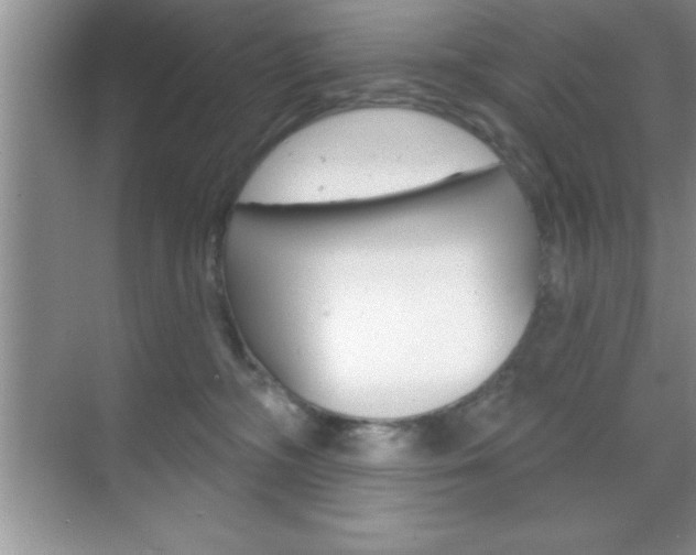 X0000070360326200606090806