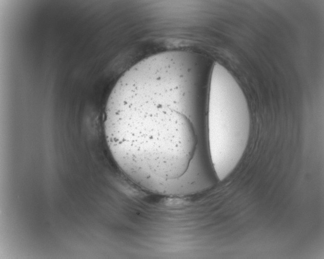 X0000070360327200606090806