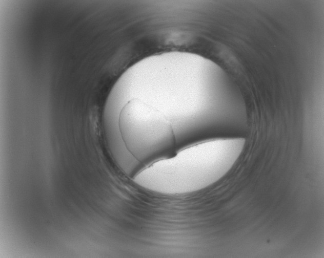 X0000070360328200606090806