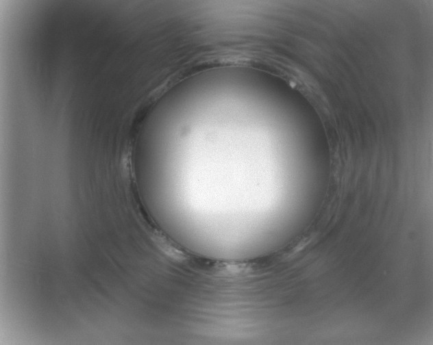 X0000070360329200606090806