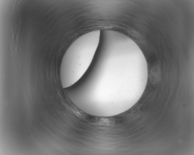 X0000070360330200606090806