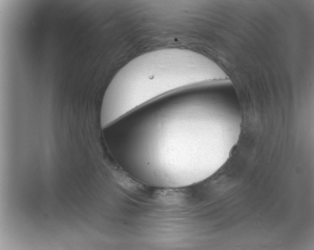 X0000070360331200606090806