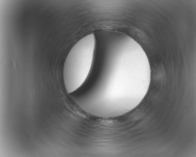 X0000070360332200606090806