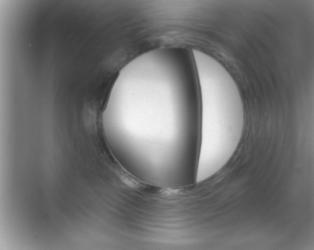 X0000070360333200606090806