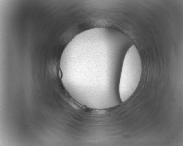 X0000070360334200606090806