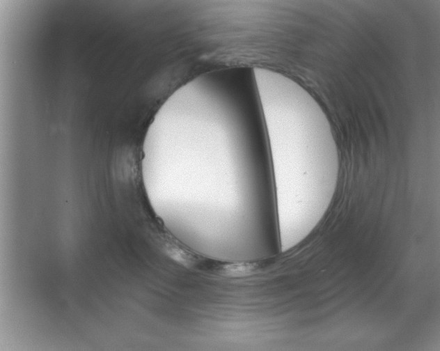 X0000070360335200606090806