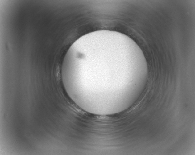 X0000070360336200606090806