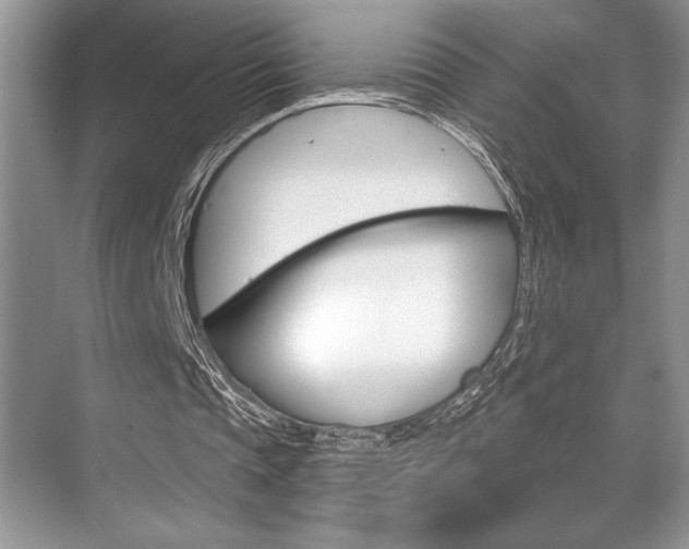 X0000070360337200606090805