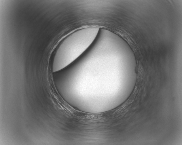 X0000070360338200606090805