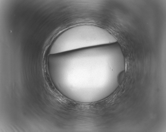 X0000070360339200606090805