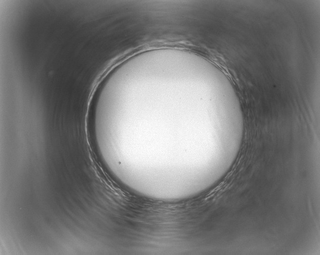 X0000070360340200606090805