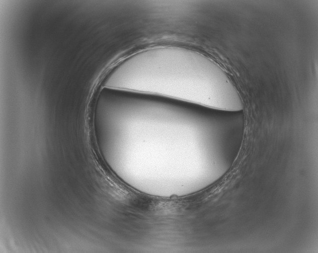 X0000070360341200606090805