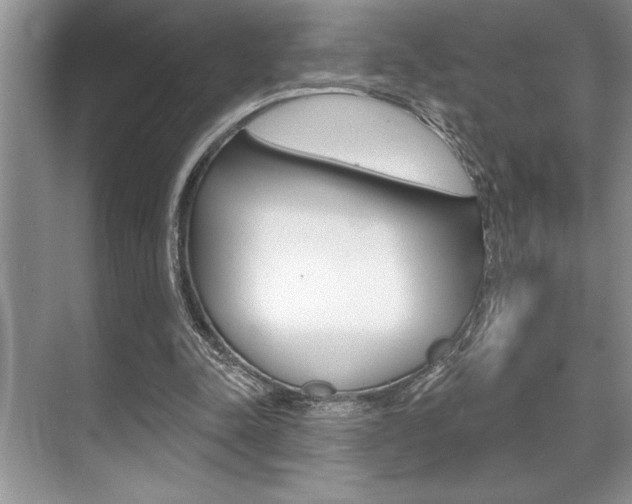 X0000070360342200606090805