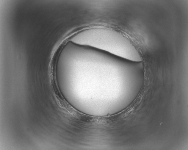 X0000070360343200606090805