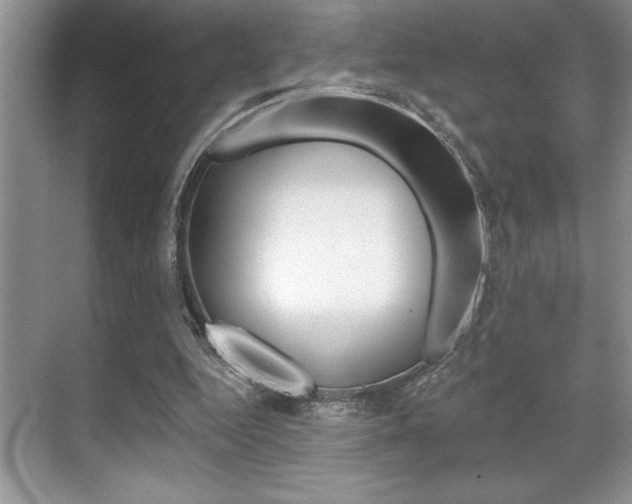 X0000070360344200606090805