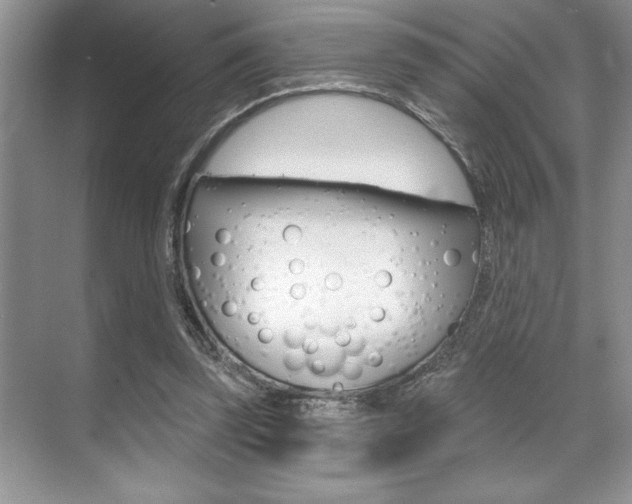 X0000070360347200606090805