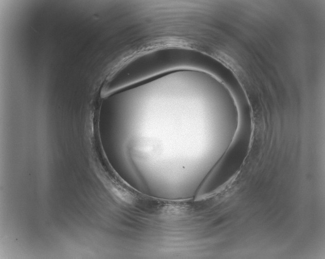 X0000070360350200606090805