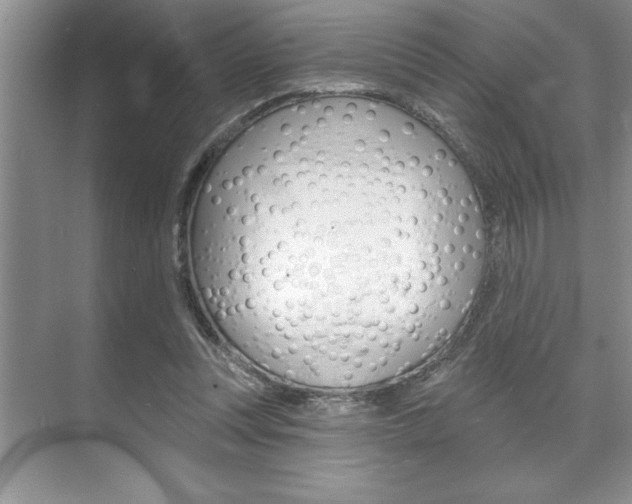 X0000070360351200606090806