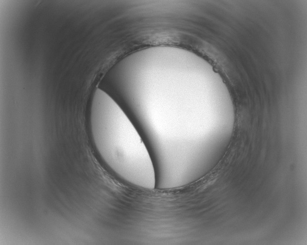 X0000070360353200606090806