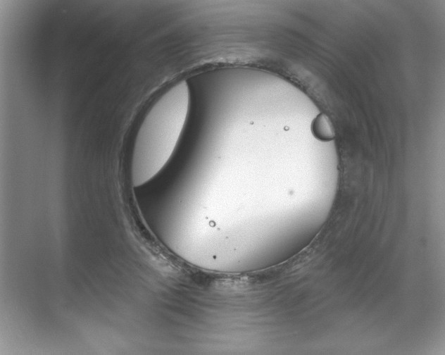 X0000070360354200606090806