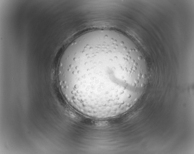 X0000070360355200606090806